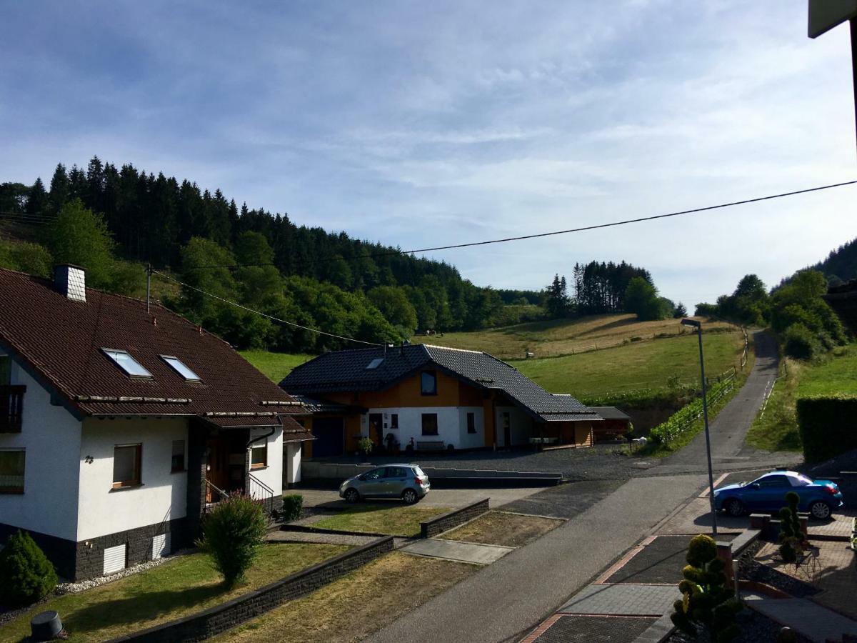 Ferienwohnung Am Nuerburgring/Wintersport Arft Acht Buitenkant foto