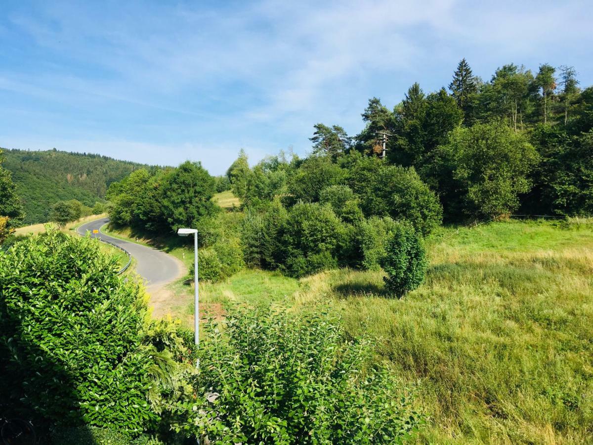 Ferienwohnung Am Nuerburgring/Wintersport Arft Acht Buitenkant foto